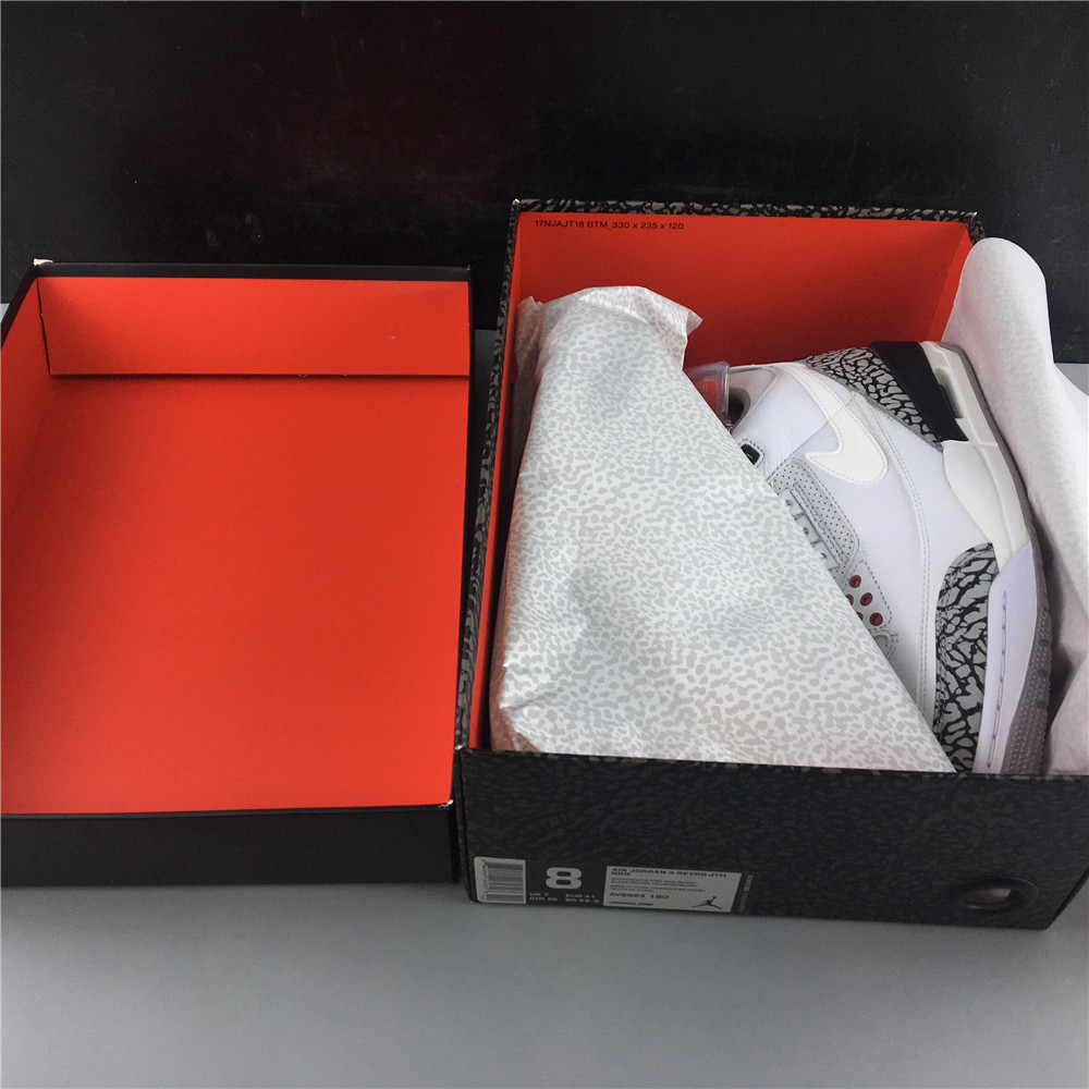 Air Jordan 3 RETRO JTHNRG AV6683-160
