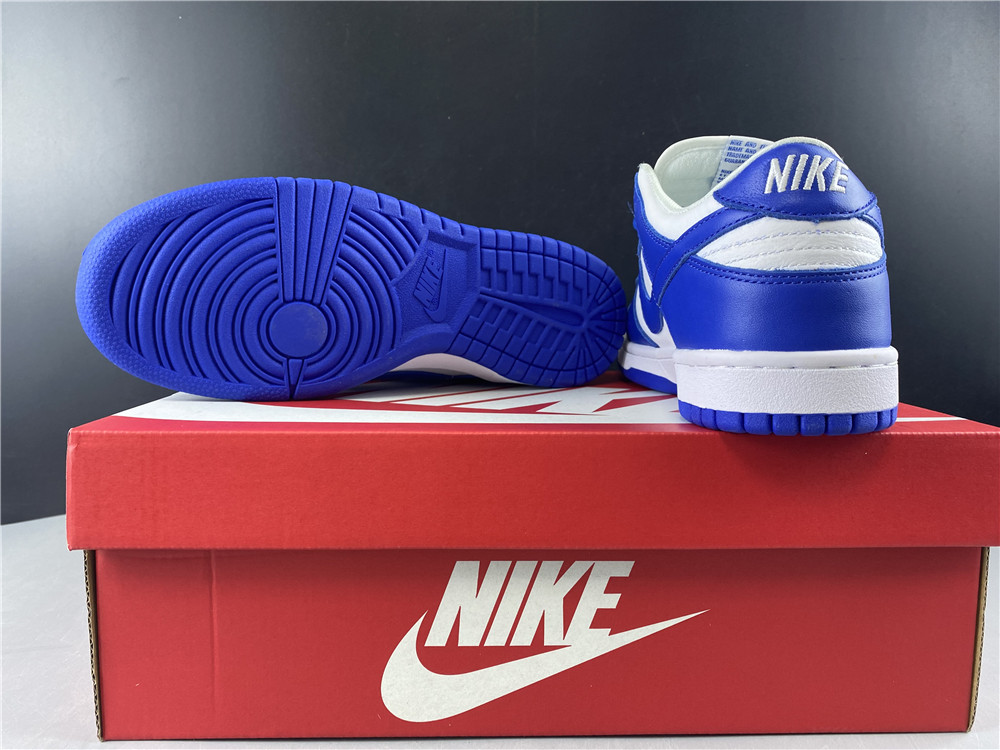 NIKE SB DUNK LOW CU1726-100