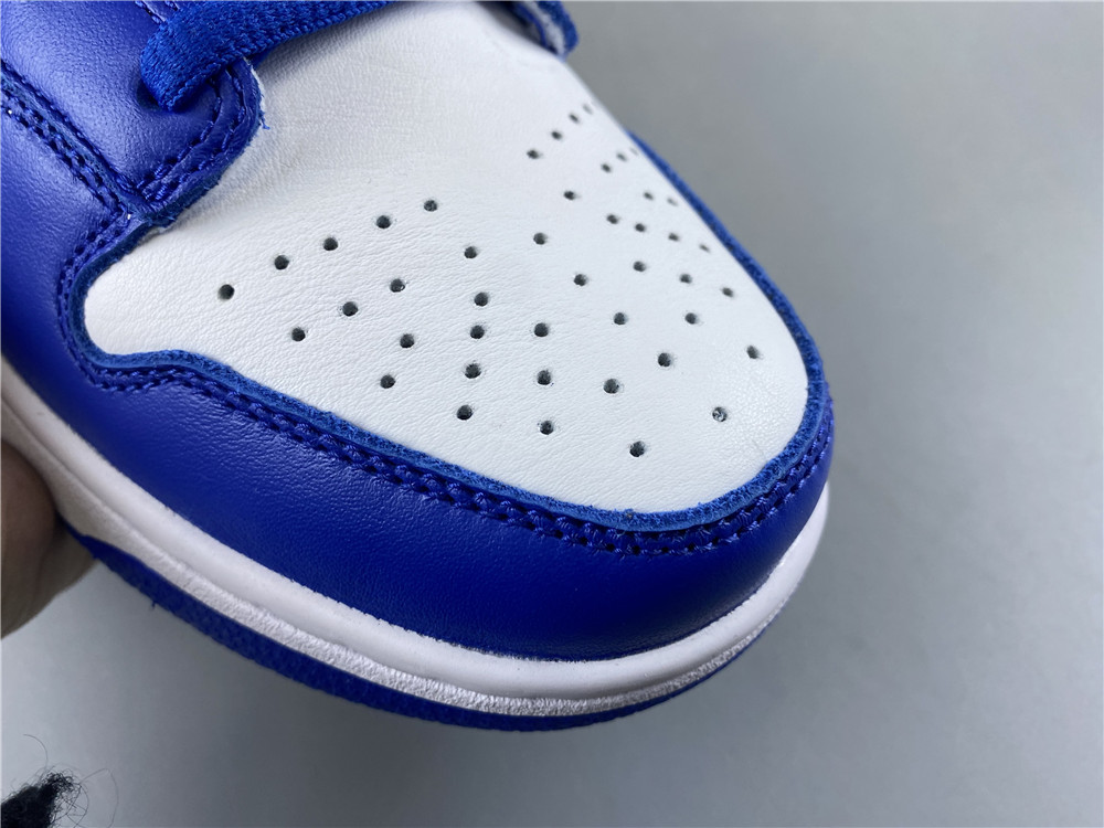 NIKE SB DUNK LOW CU1726-100