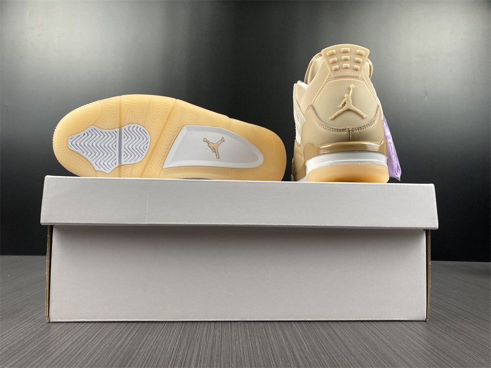 Air Jordan 4 WMNS Shimmer DJ0675-200