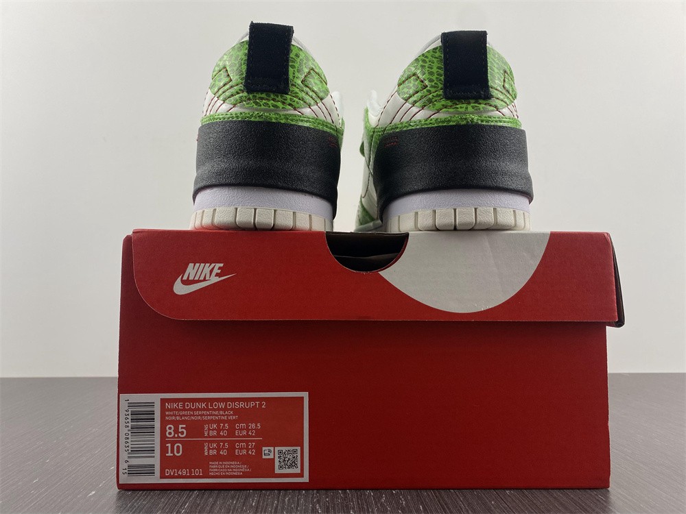 Nike Dunk Low Disrupt