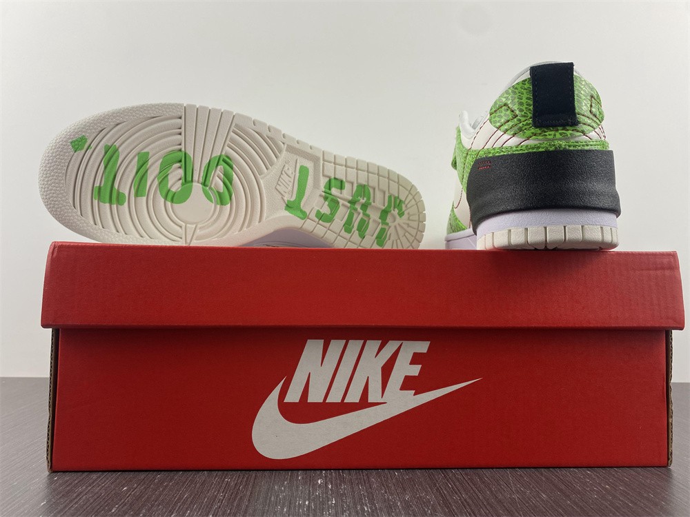 Nike Dunk Low Disrupt