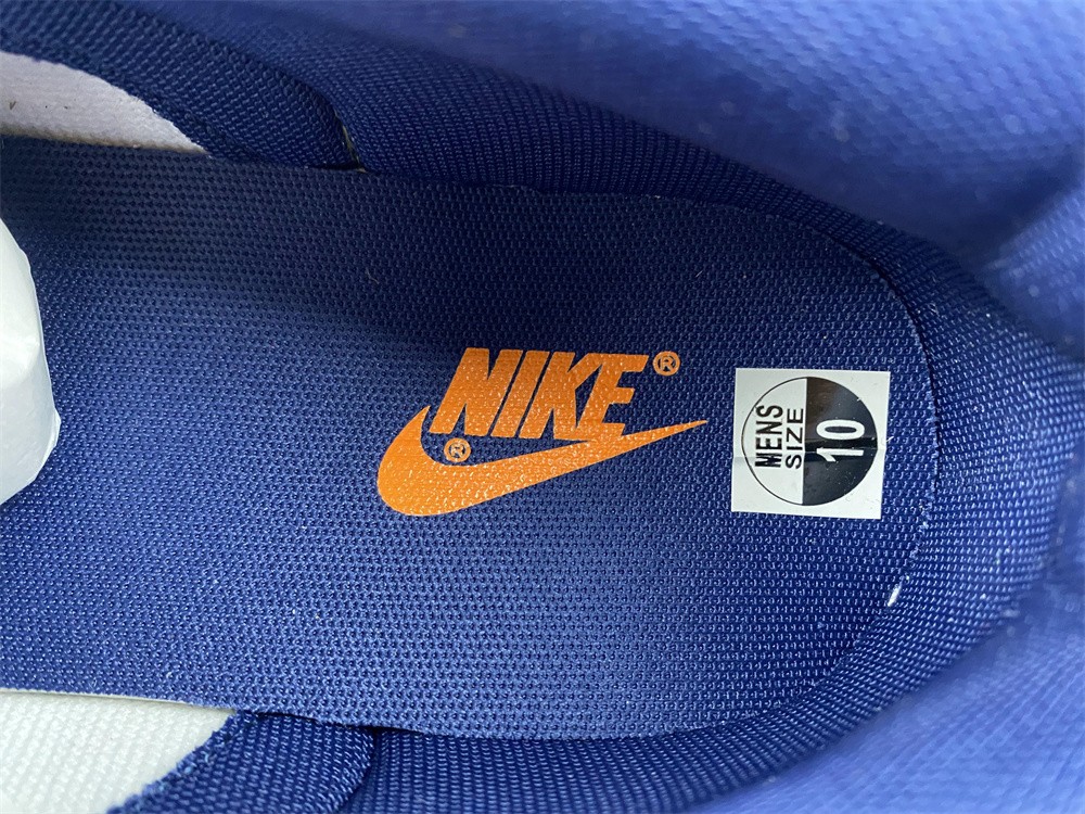 Nike SB Dunk Low Michigan DD1391-700