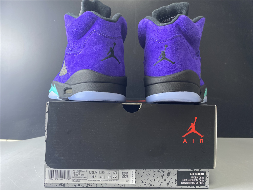 Air Jordan 5 “Alternate Grape” 136027-500