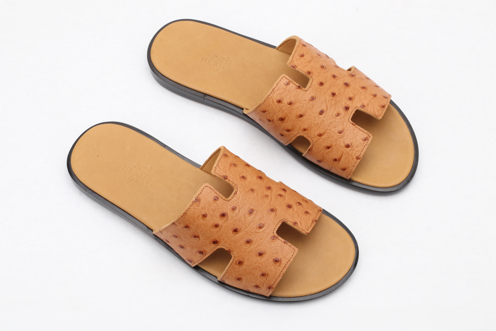 H*ermes Slides