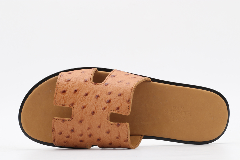 H*ermes Slides