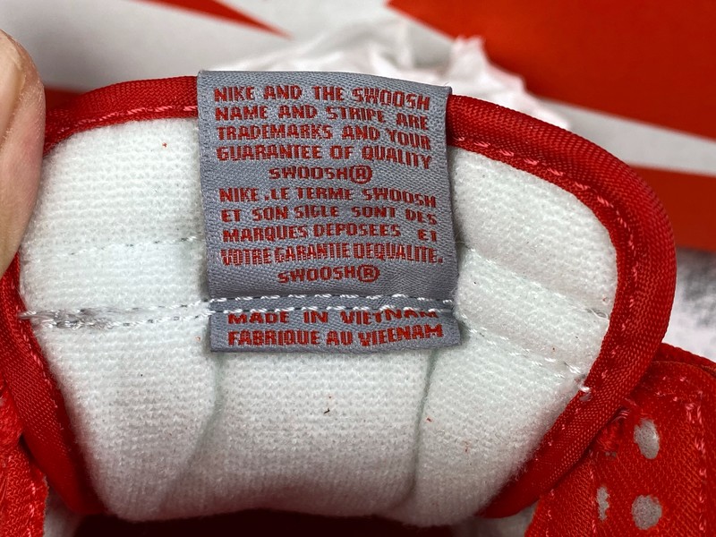 Nike Dunk Low SP CU1726-600