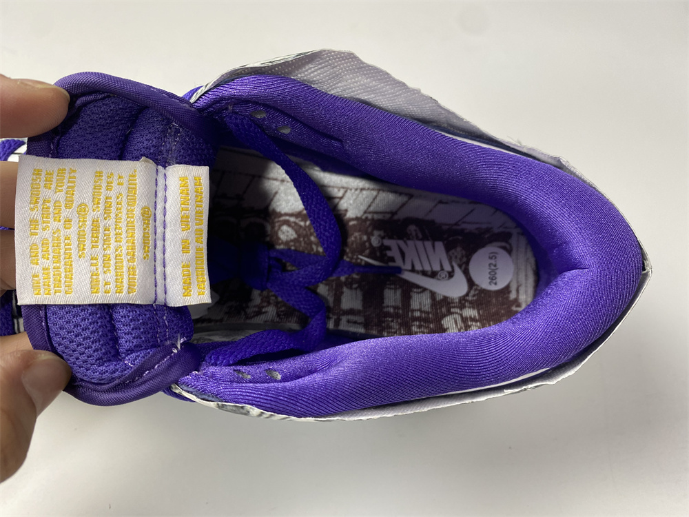Nike Dunk Low Flip the Old School