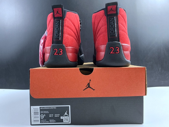 Air Jordan 12 Reverse Flu Game CT8013-602