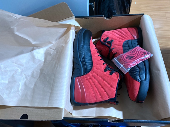 Air Jordan 12 Reverse Flu Game CT8013-602