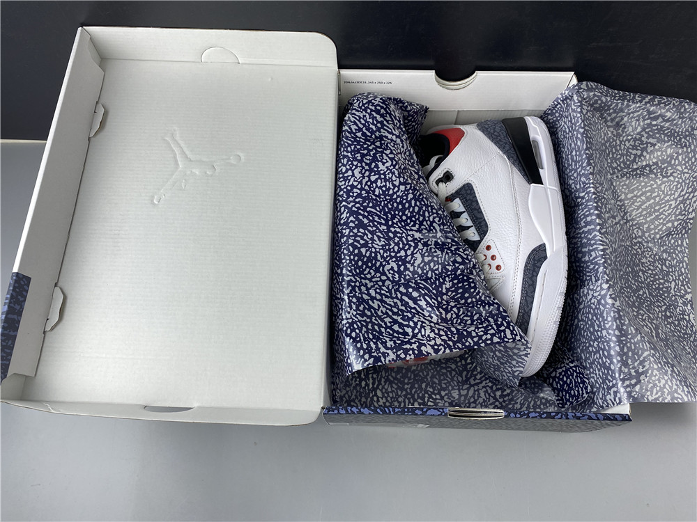 Air Jordan 3 CZ6431-100