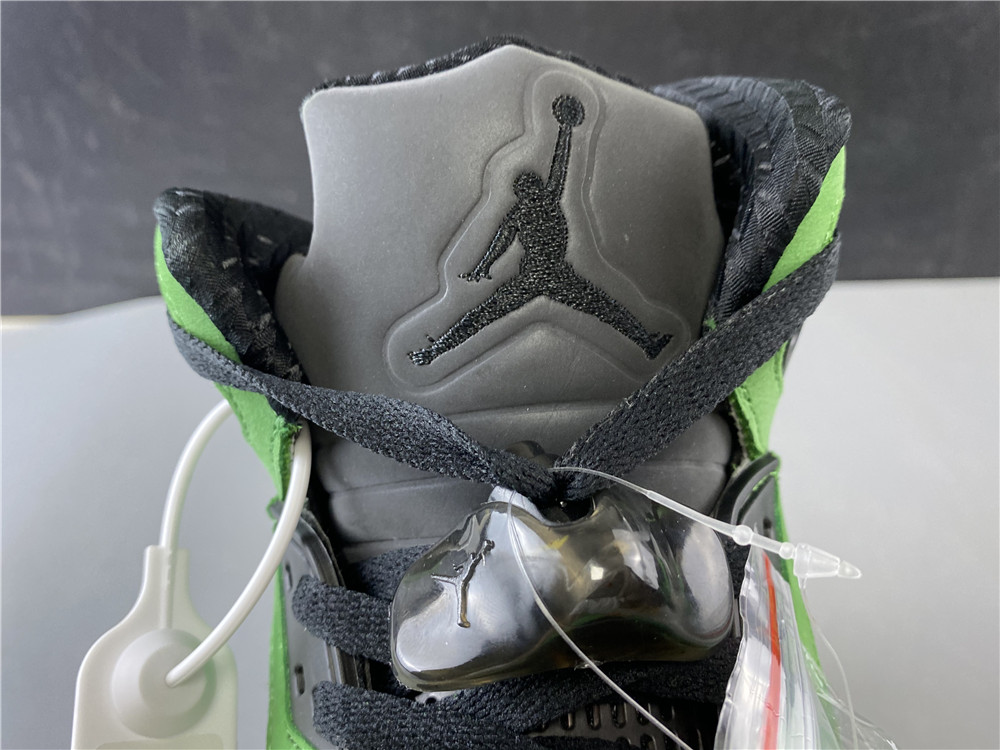 Air Jordan 5 Air Jordan 5 “Oregon” CK6631-307