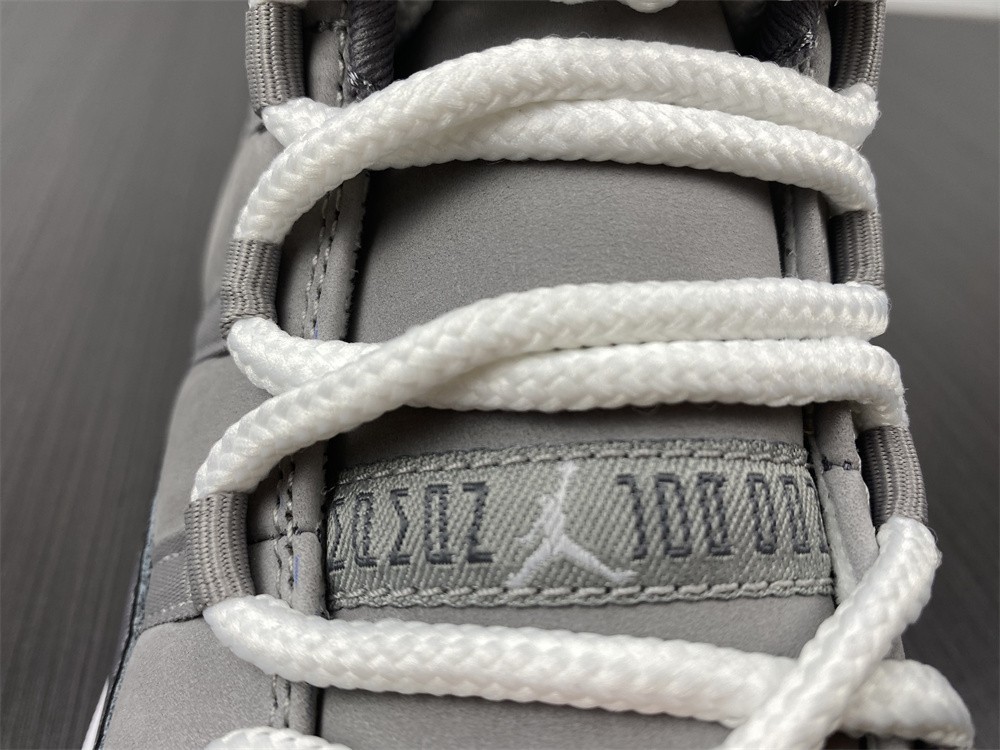 Air Jordan 11 2021 Cool Grey