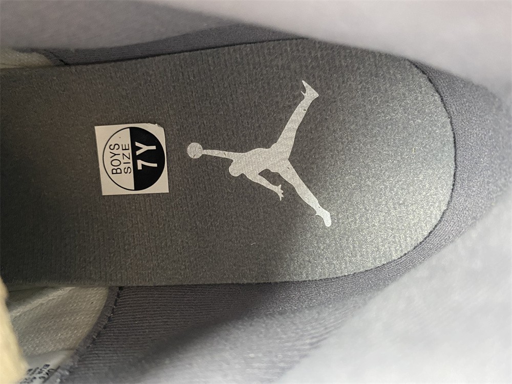 Air Jordan 11 2021 Cool Grey