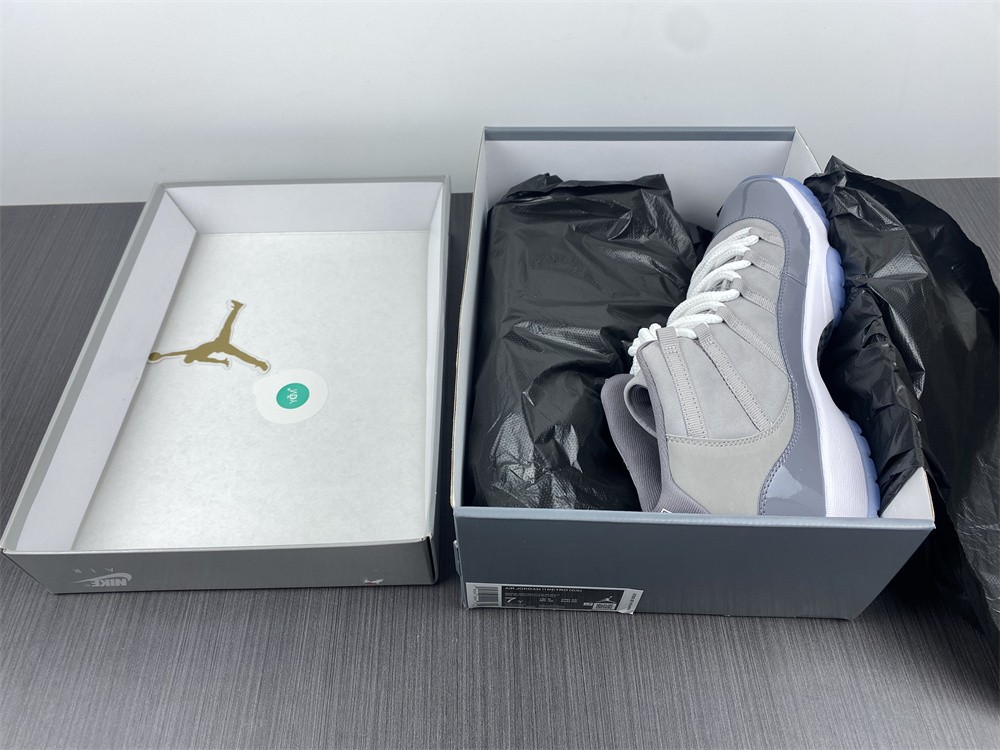 Air Jordan 11 2021 Cool Grey