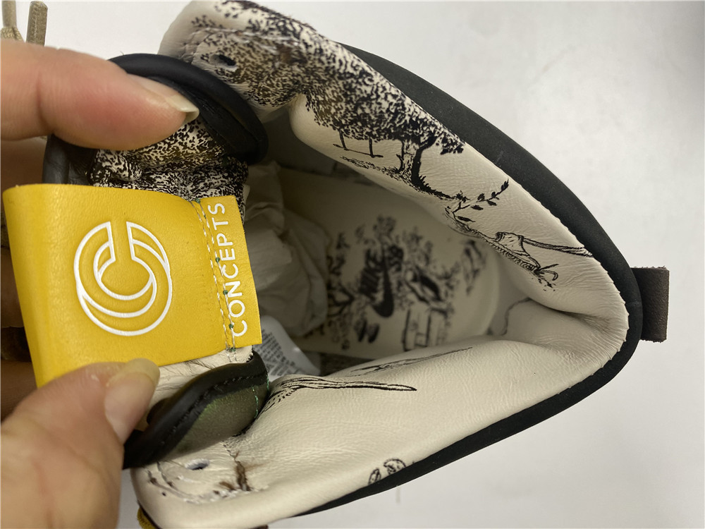 Concepts x Nike SB Duck HIgh Pro QS "Mallard"