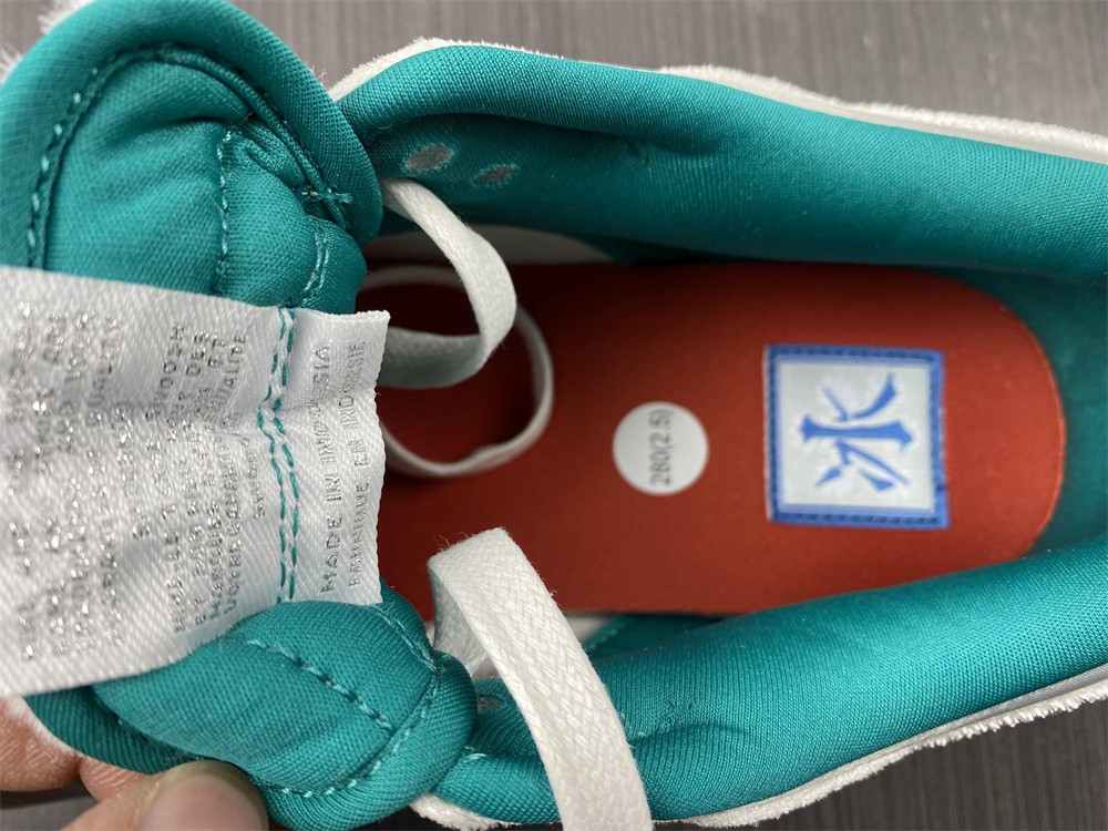 Nike Dunk Low Ice and Snow Festival