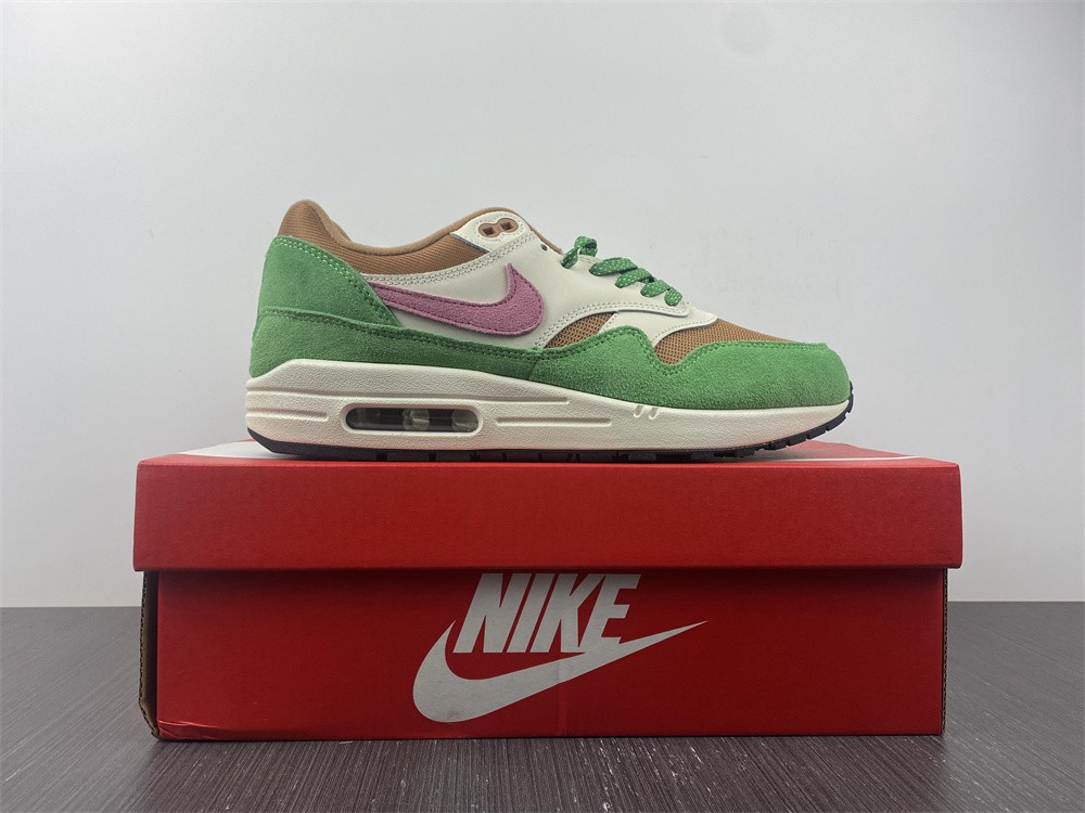 Nike Air Max 1 NH Treeline