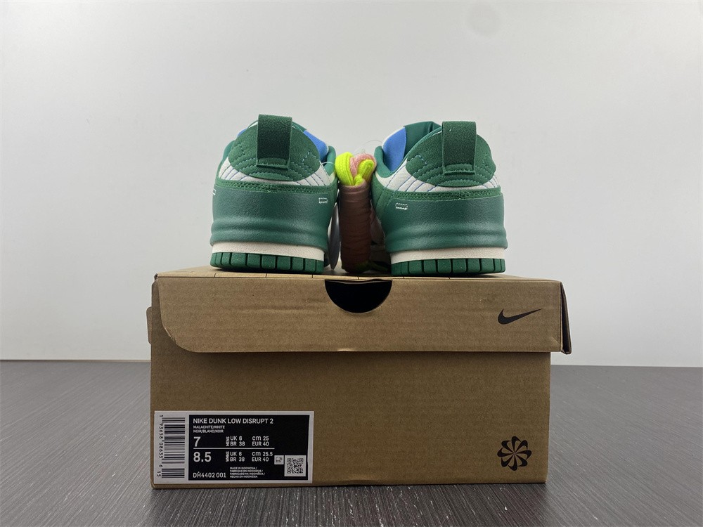Nike Dunk Low Disrupt2