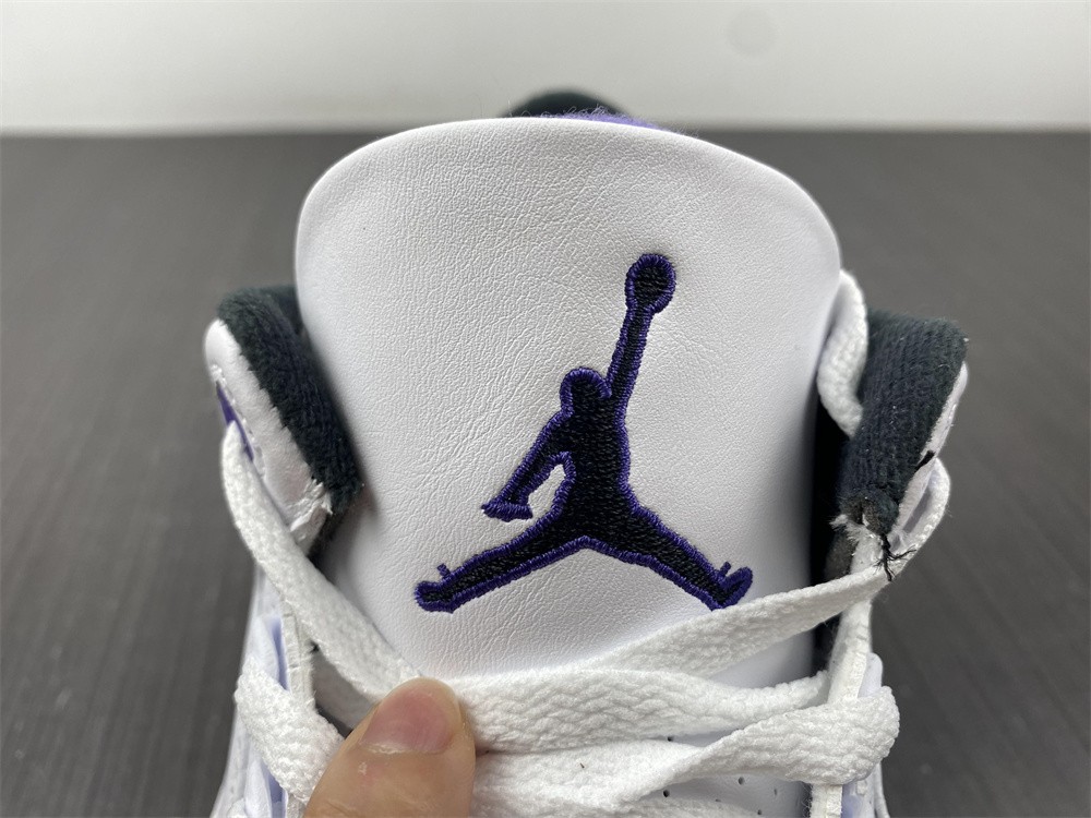 Air Jordan 3 Dark Iris