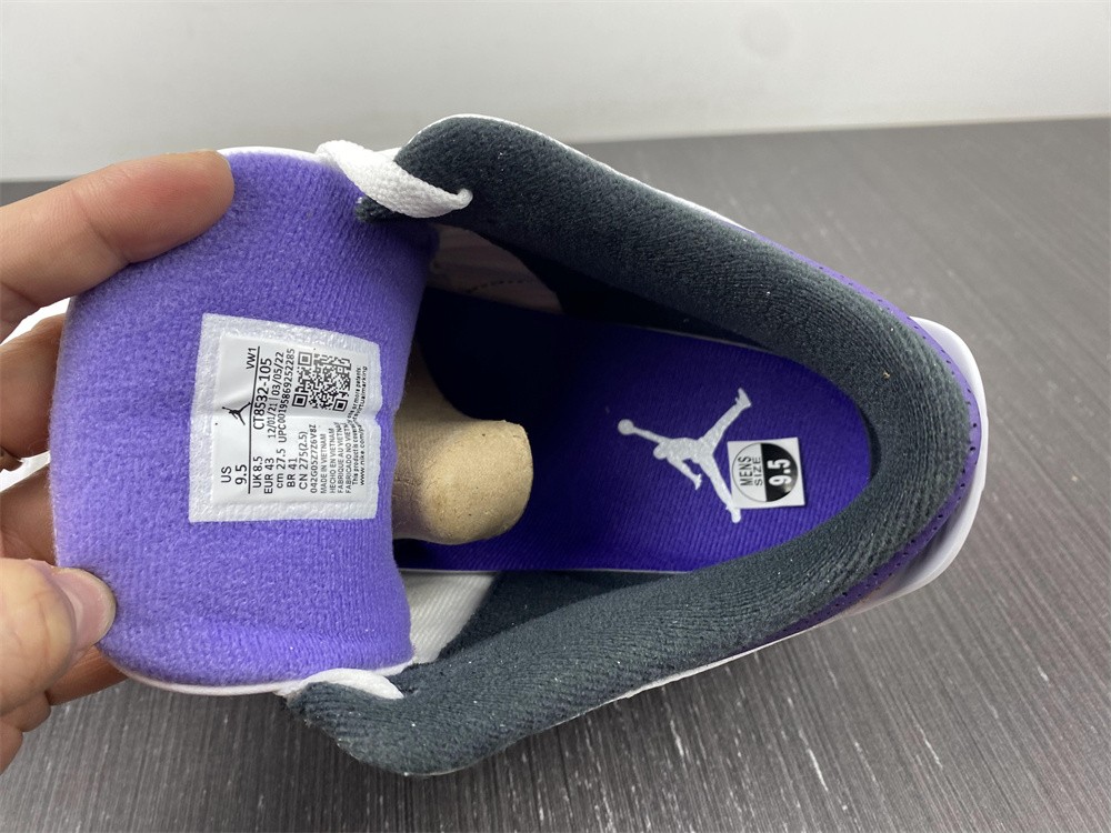 Air Jordan 3 Dark Iris