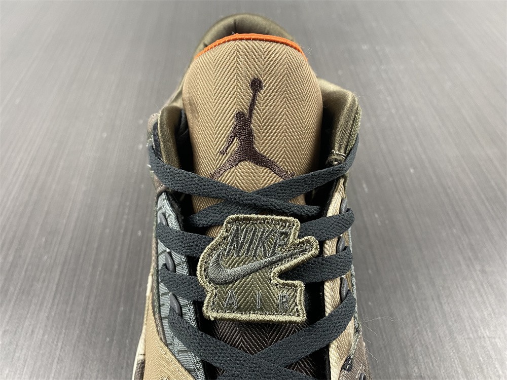Air Jordan 3 Camo