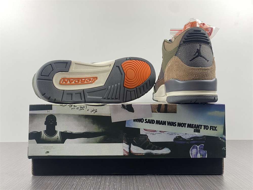 Air Jordan 3 Camo
