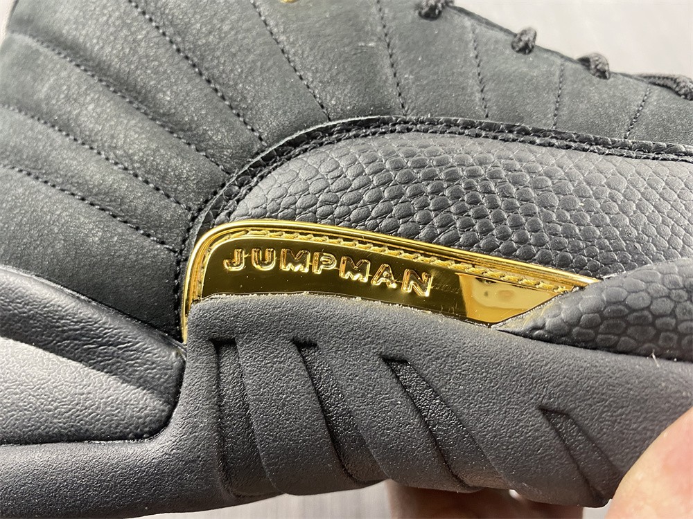 Air Jordan 12 Black Taxi CT8013-071