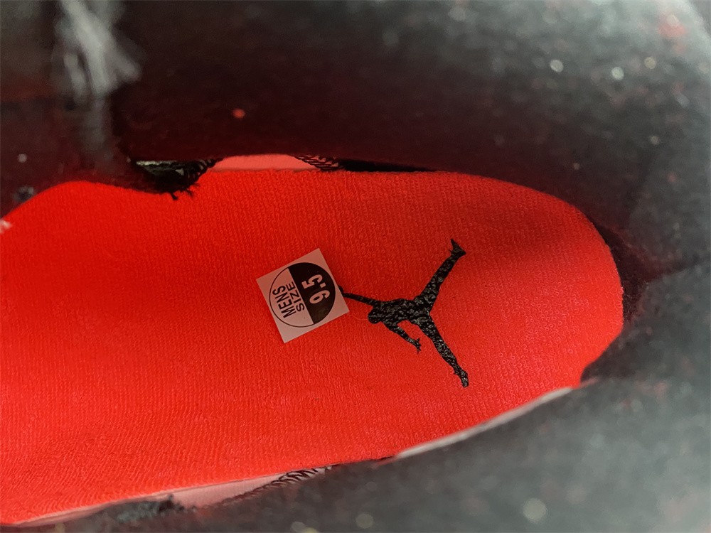 Air Jordan 6 White Infrared