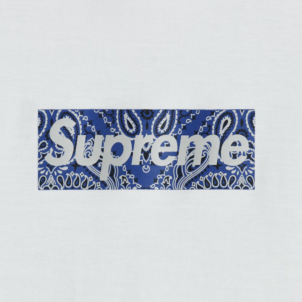 S*p*e 19fw bandana box logo tee