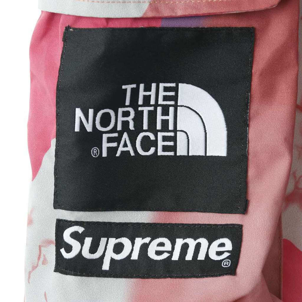 S*p*e x the n0*h f**e 2020ss cargo vest