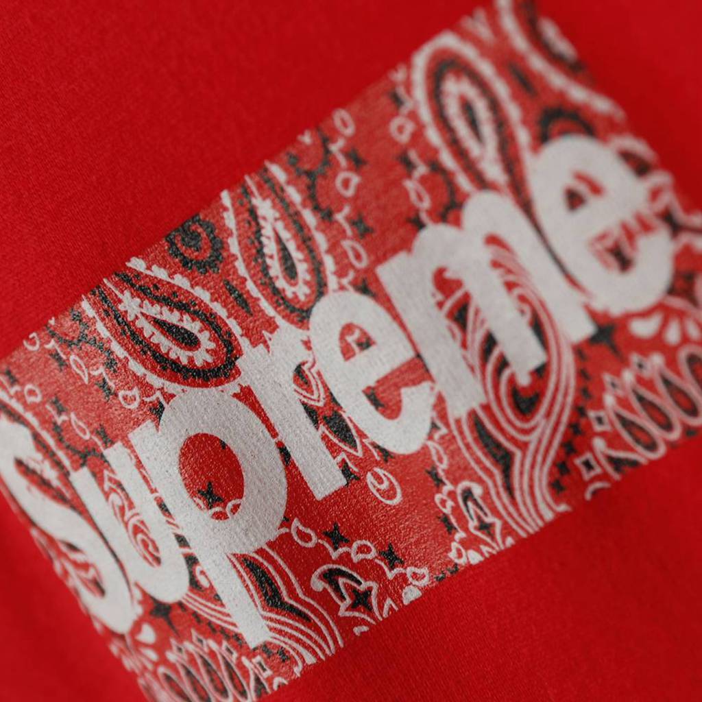 S*p*e 19fw bandana box logo tee