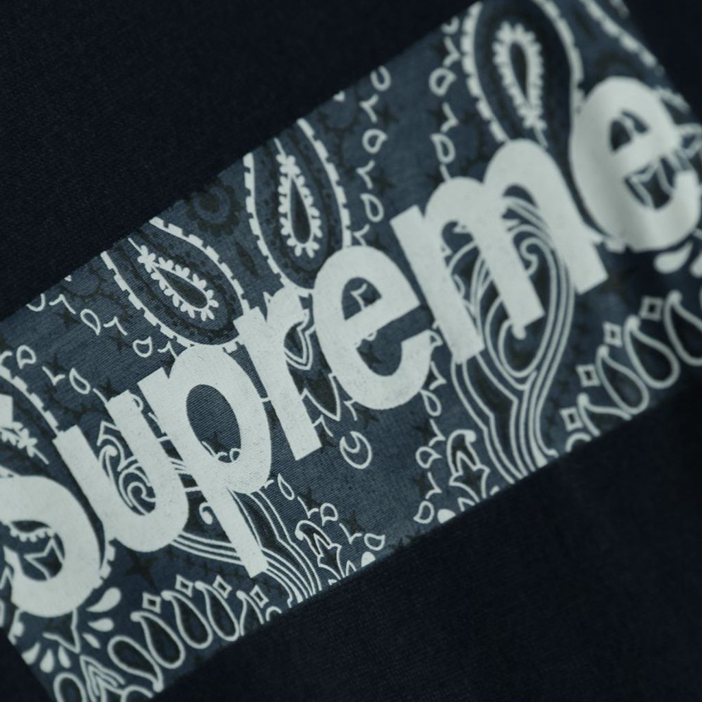 S*p*e 19fw bandana box logo tee?