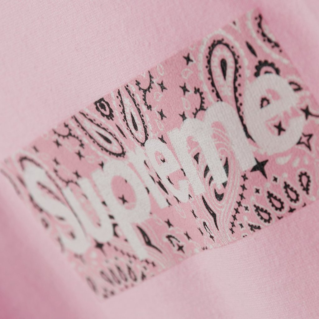 S*p*e 19fw bandana box logo tee?