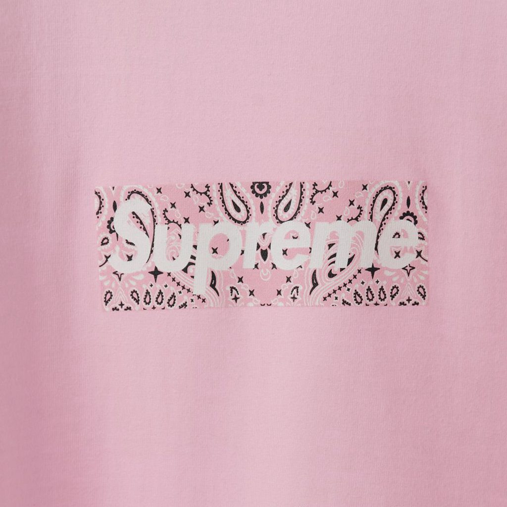 S*p*e 19fw bandana box logo tee?