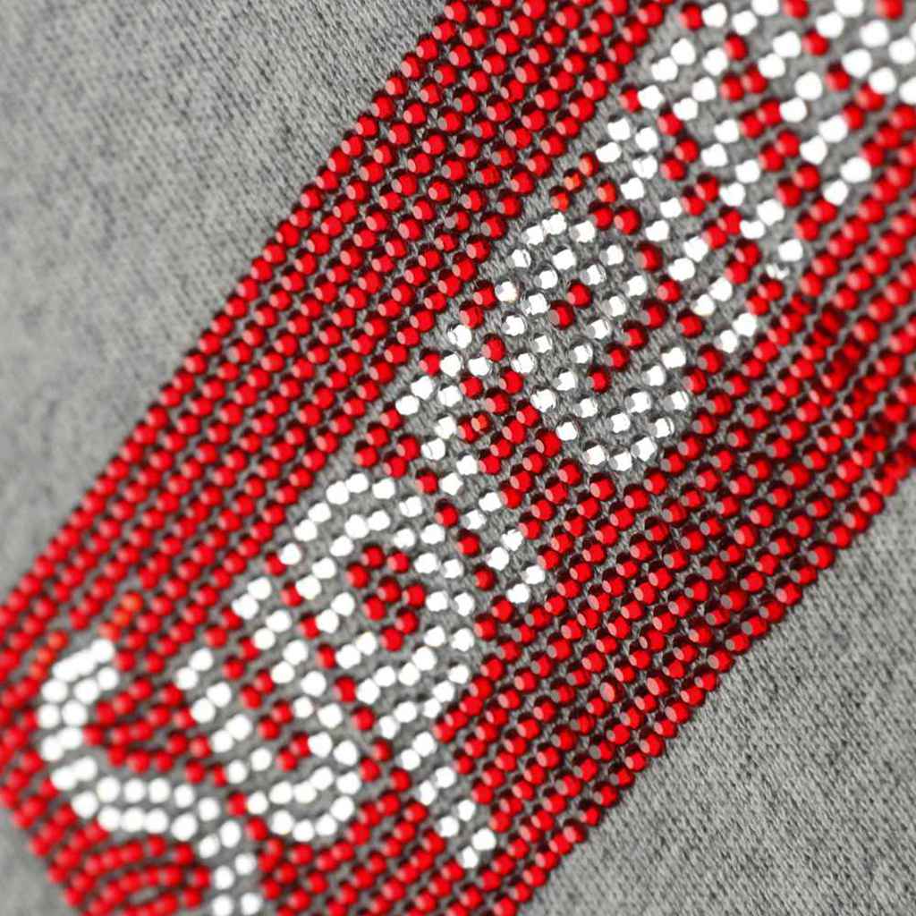 S*p*e x swarovski  hoodie