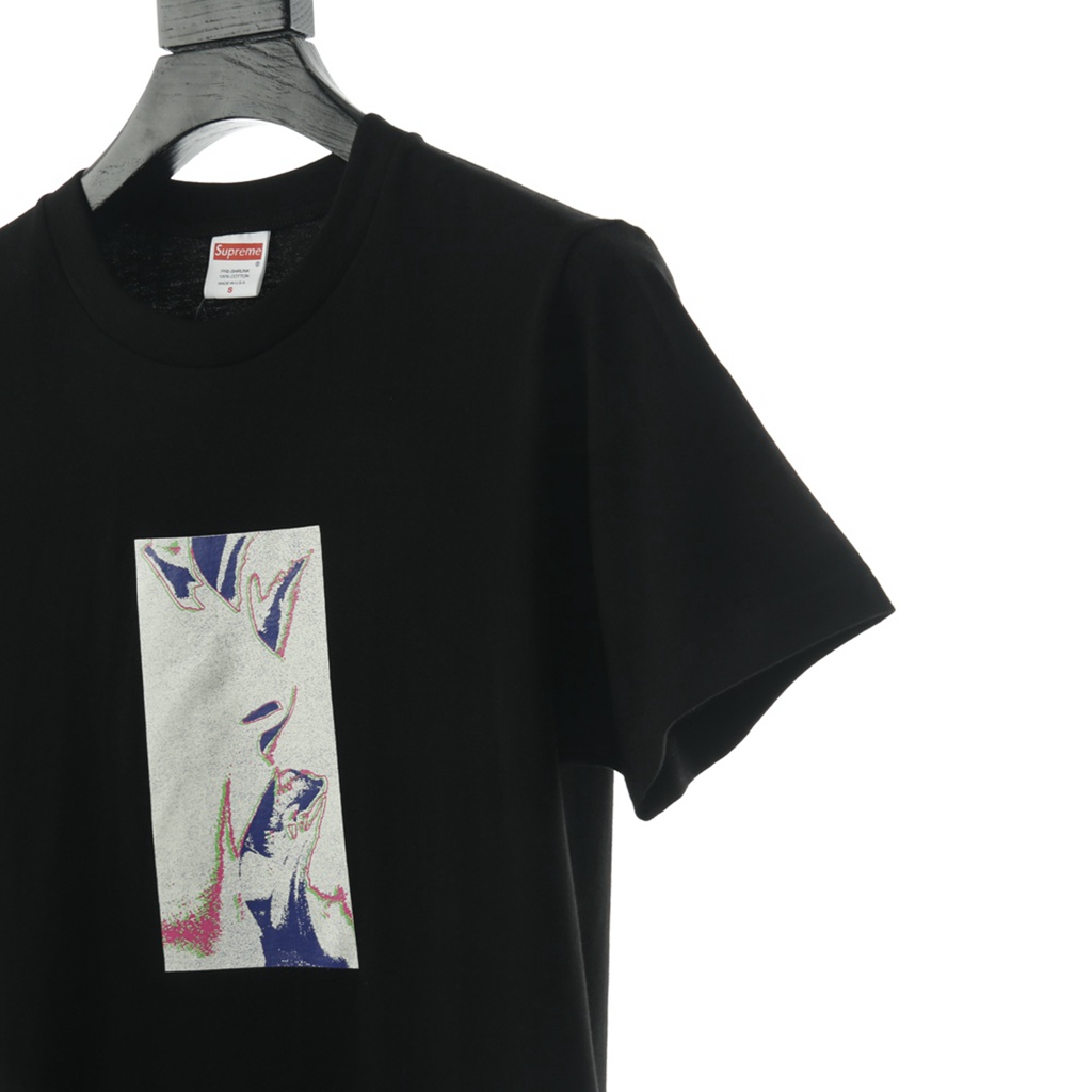 S*p*e 20ss my bloody valentine glider tee