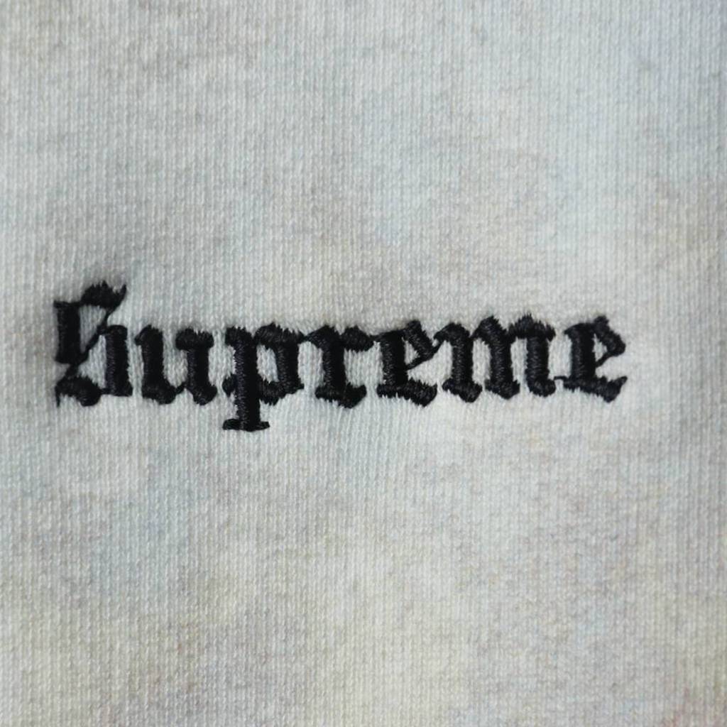 S*p*e landscap 18 ss hoodie