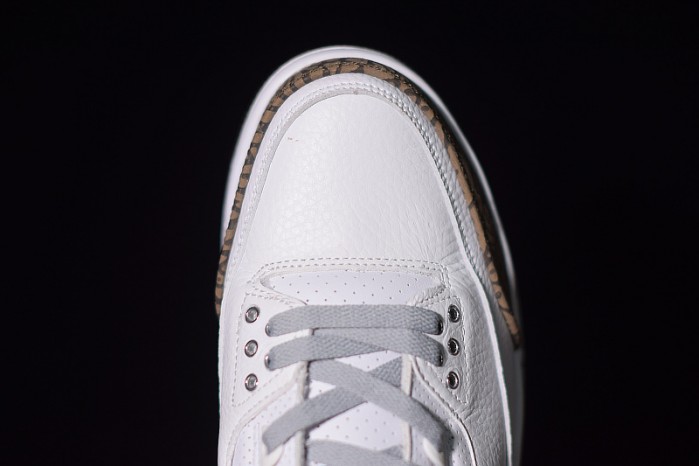 Air Jordan 3 Mocha 136064-122