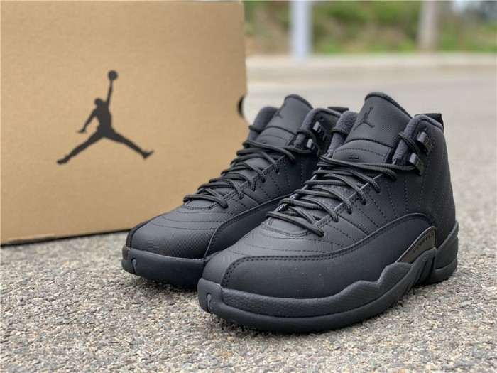 Air Jordan 12 Winterized Black Anthracite BQ6851-001