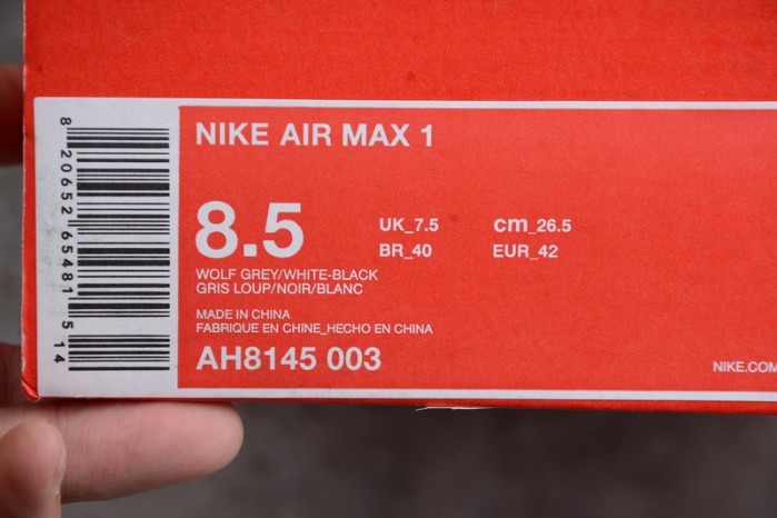 Nike Air Max 1 Wolf Grey AH8145-003